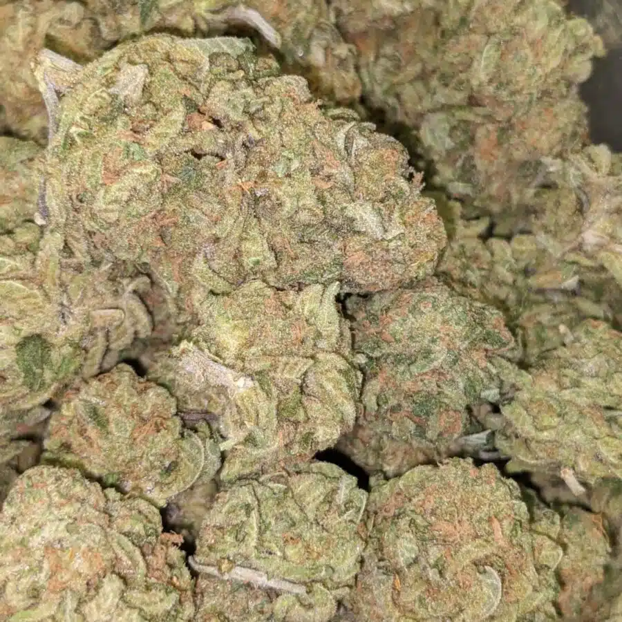 ZOMBIE KUSH AAA 5 I Zombie Kush AAA