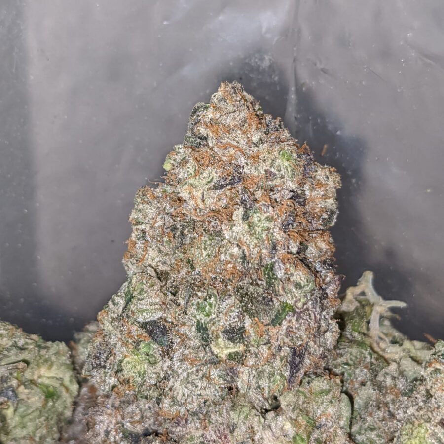 blue goo aaaa 1 I Blue Goo AAAA+
