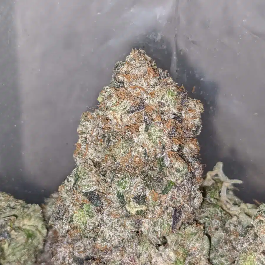 blue goo aaaa 1 I Blue Goo AAAA+