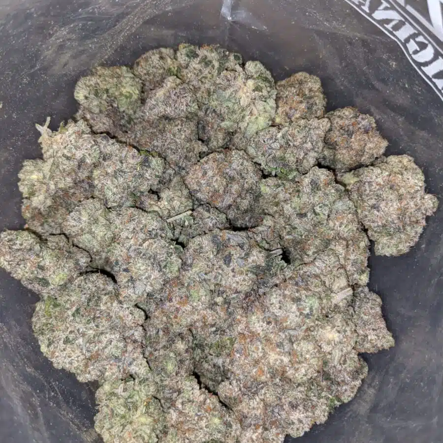 blue goo aaaa 3 I Blue Goo AAAA+