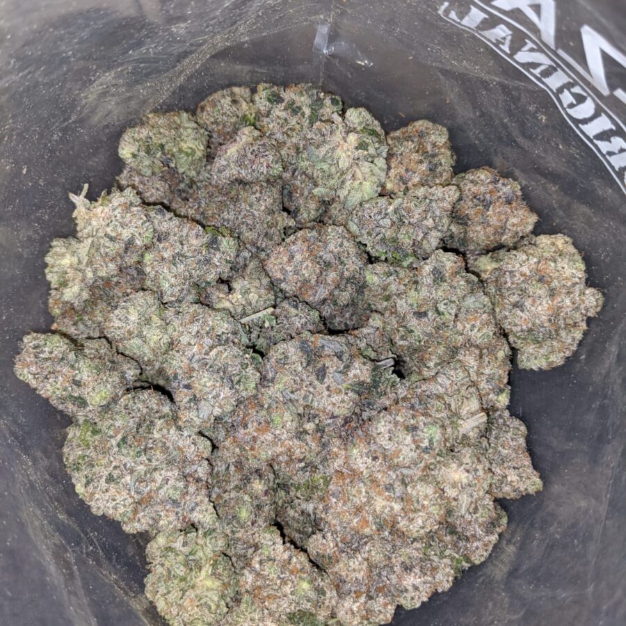blue goo aaaa 4 I Blue Goo AAAA+
