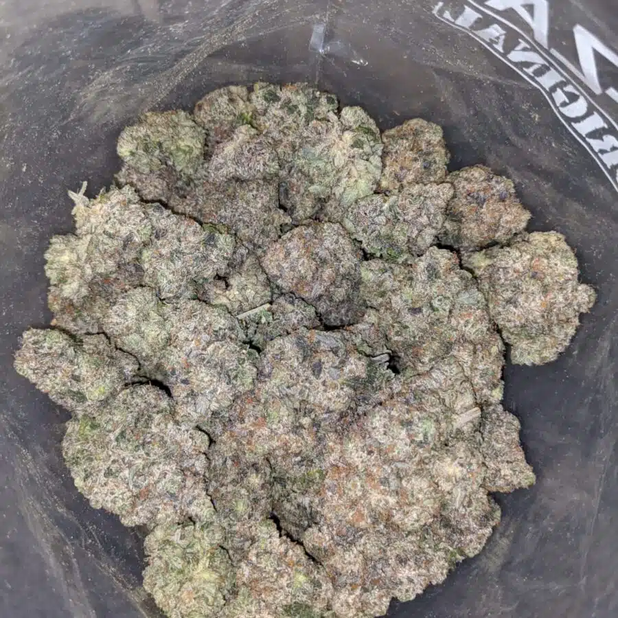 blue goo aaaa 4 I Blue Goo AAAA+