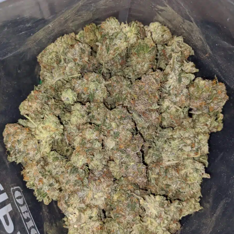 emmas khalifa kush 3 I Emma's Khalifa Kush
