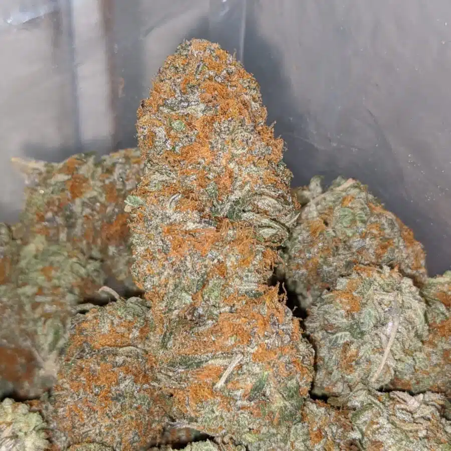 honey bun 2 I Honeycomb