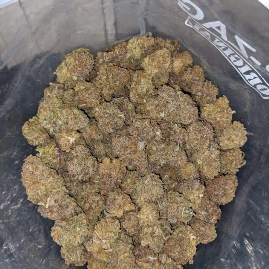 purple cheese dod 4 I Purple Cheese - *Deal Of The Day*