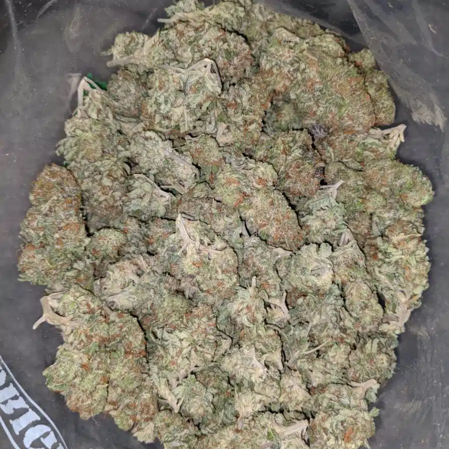 silver haze deal of the day 1 I Silver Haze - *Deal Of The Day*