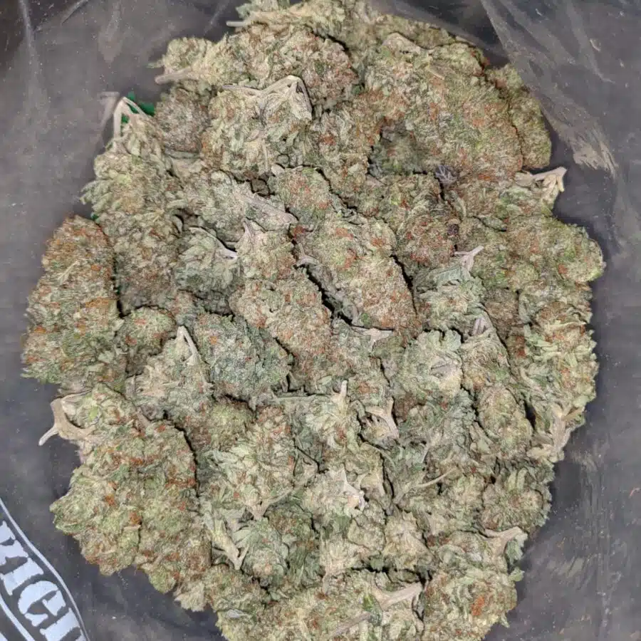 silver haze deal of the day 2 I Silver Haze - *Deal Of The Day*