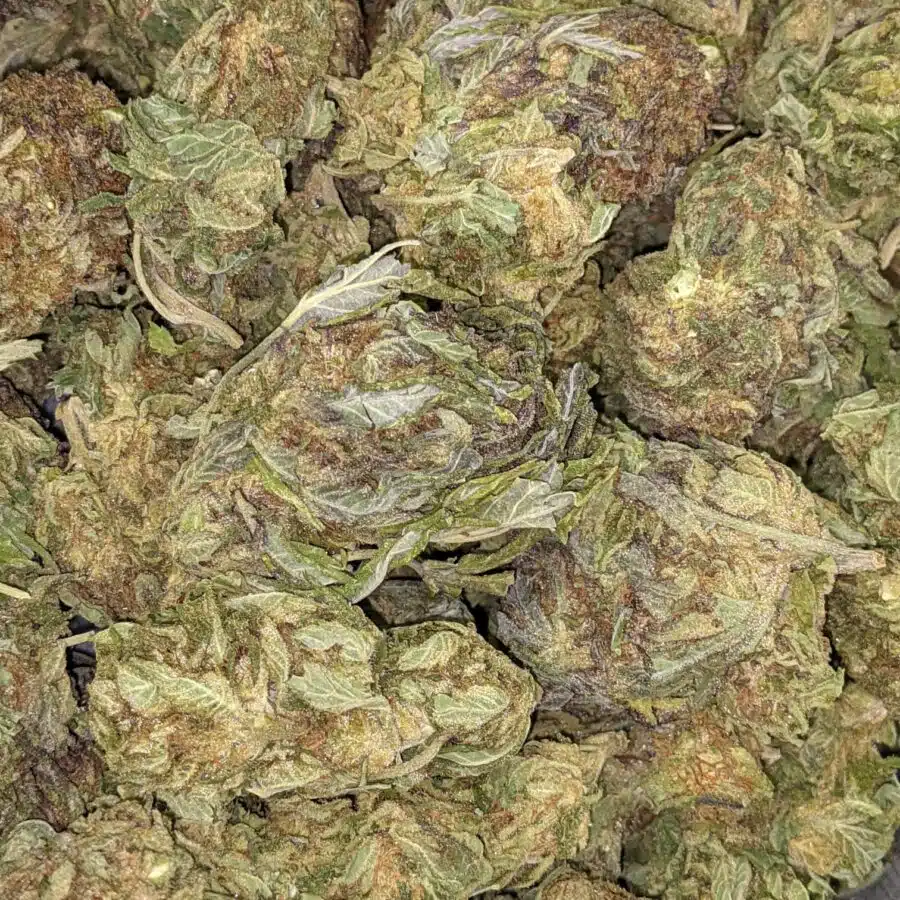 AA BULK CINDERELLA 1 I $69 Oz - Cinderella's Dream
