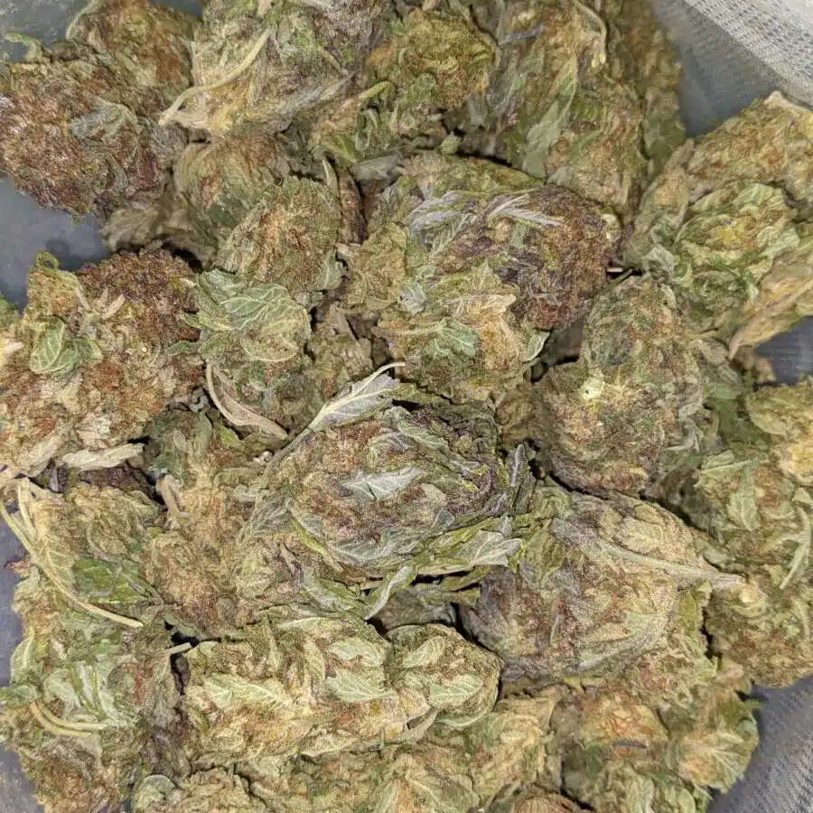$69 Oz - Cinderella's Dream