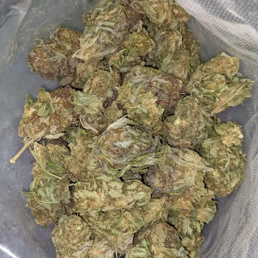 Alternative view of $69 Oz - Cinderella's Dream
