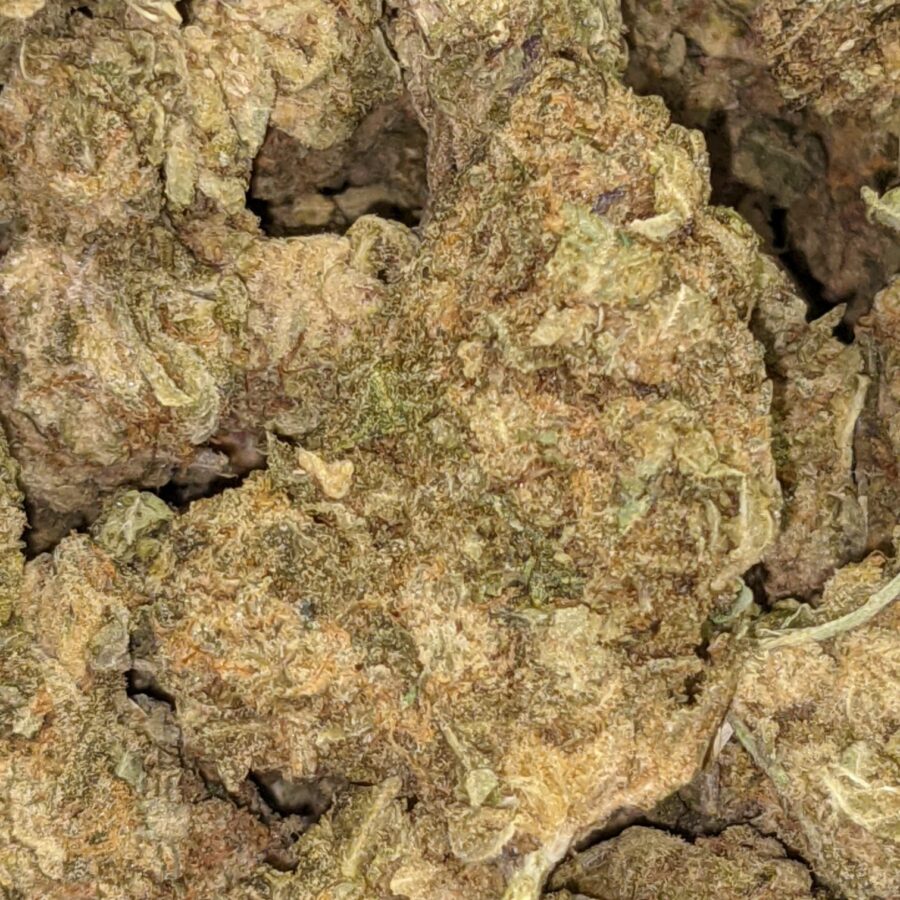 AA BULK GOD WIDOW 1 I AA+ Bulk God Widow