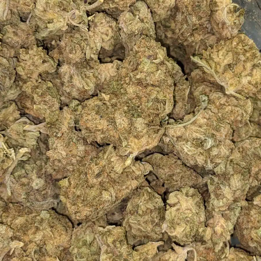AA BULK GOD WIDOW 2 I AA+ Bulk God Widow
