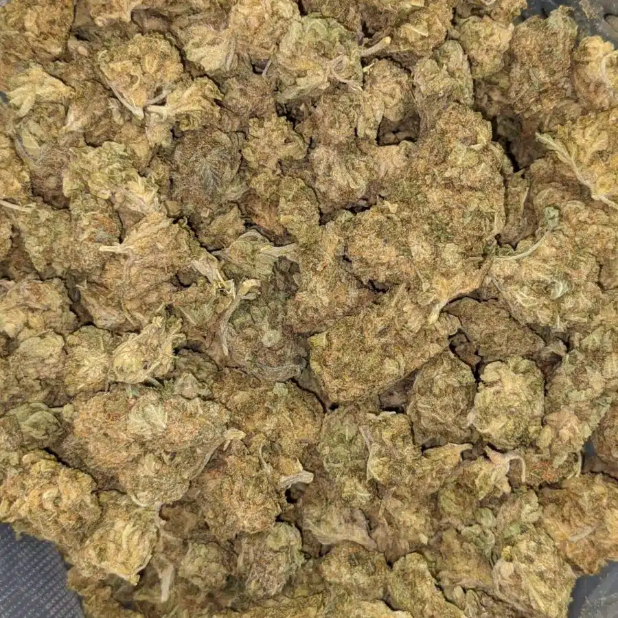 AA BULK GOD WIDOW 4 I AA+ Bulk God Widow