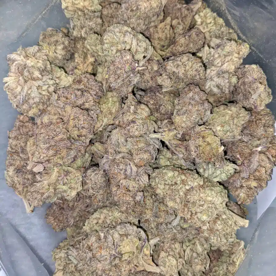 AA BULK JUNGLE JUICE 2 I AA+ Bulk Jungle Juice