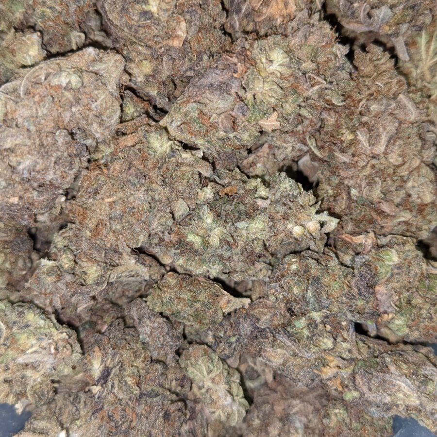 AA BULKSWEET MAMBA 1 I AA+ Bulk Sweet Mamba