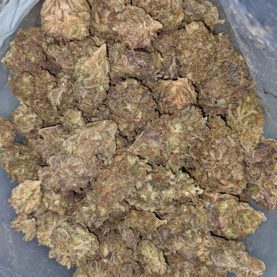 AA BULKSWEET MAMBA 2 I AA+ Bulk Sweet Mamba