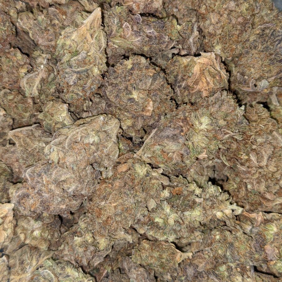 AA BULKSWEET MAMBA 4 I AA+ Bulk Sweet Mamba