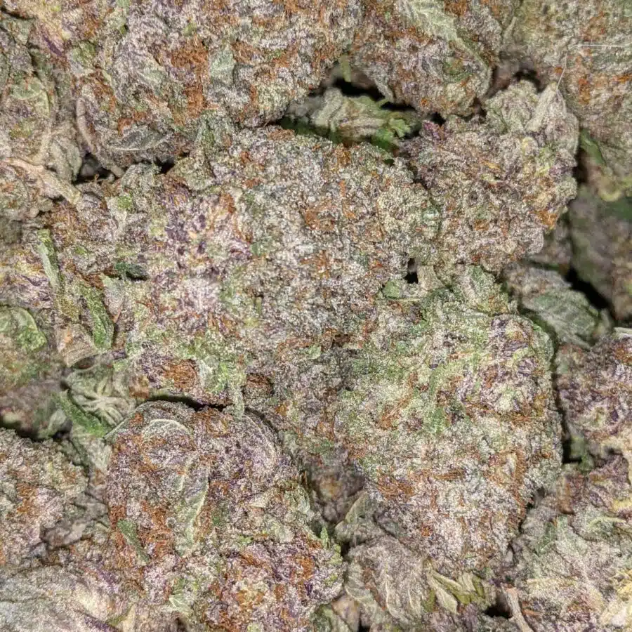 ACUPOLO PURPLE 2 I Acapulco Purple 25.56% THC