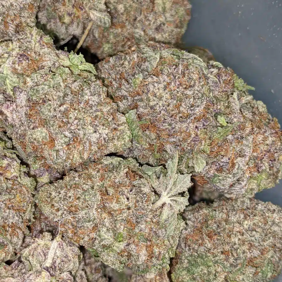 ACUPOLO PURPLE 3 I Acapulco Purple 25.56% THC