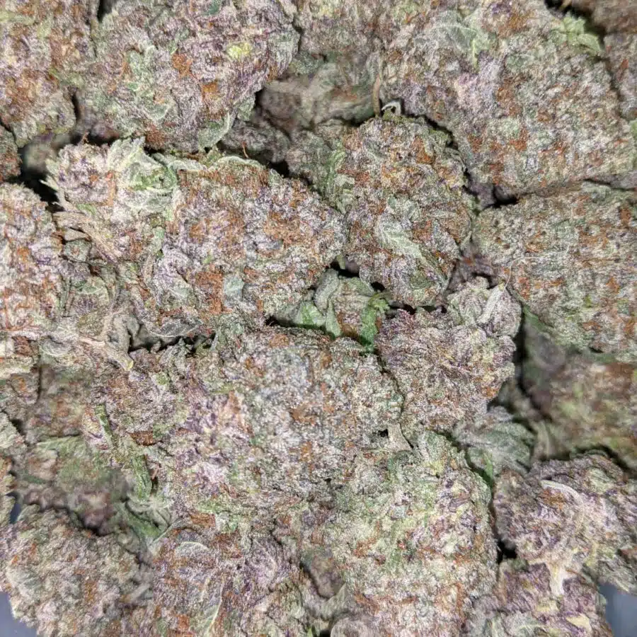 ACUPOLO PURPLE 5 I Acapulco Purple 25.56% THC