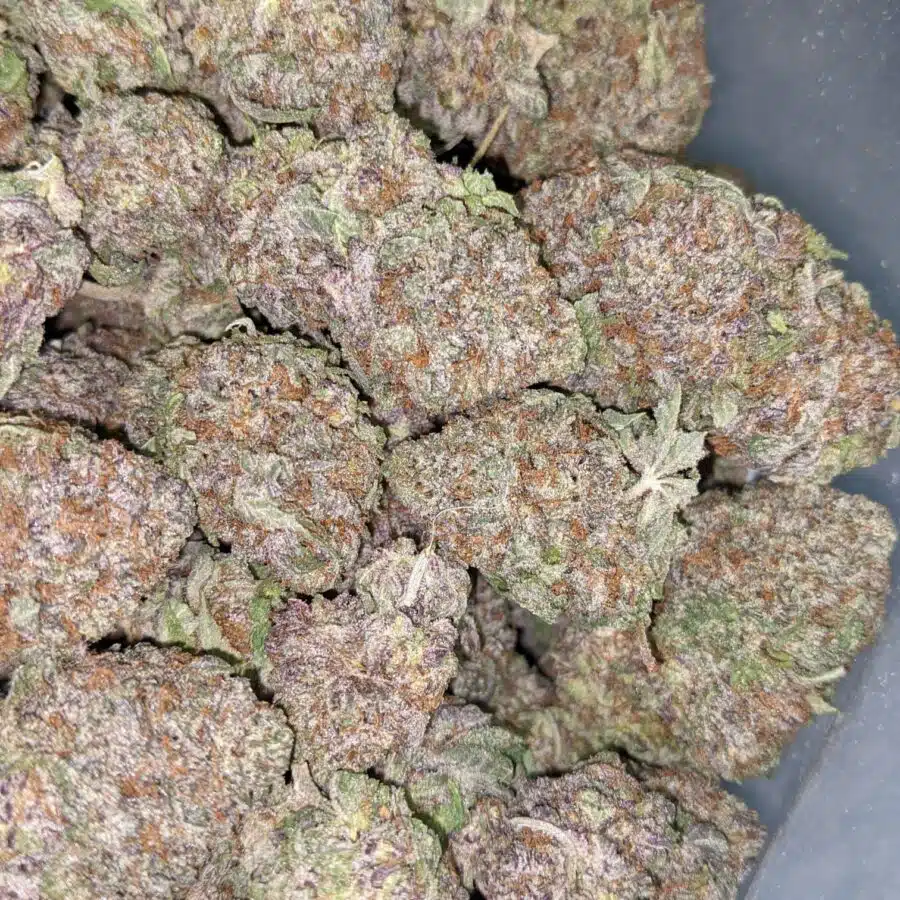 ACUPOLO PURPLE 6 I Acapulco Purple 25.56% THC