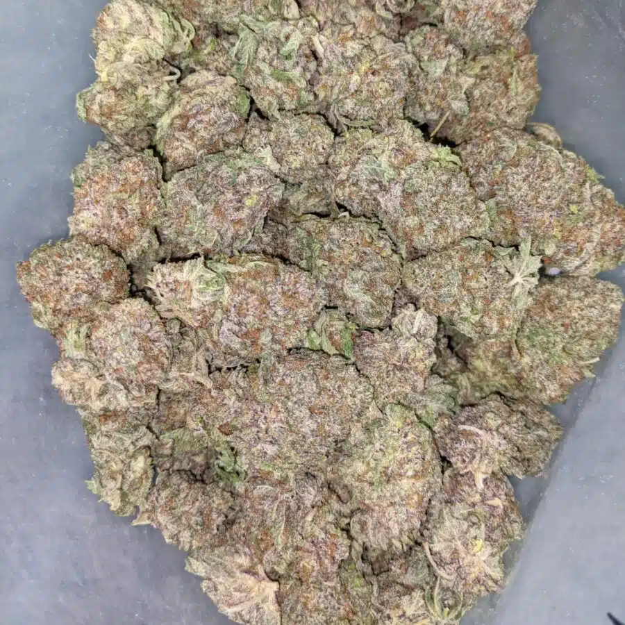 ACUPOLO PURPLE 7 I Acapulco Purple 25.56% THC