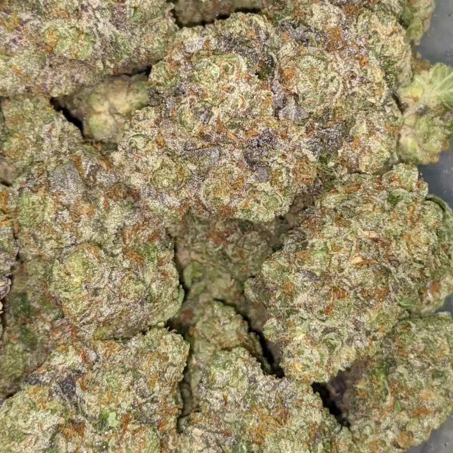 ANIMAL FACE 10 6 I $119 Oz - Ice Cream Cake