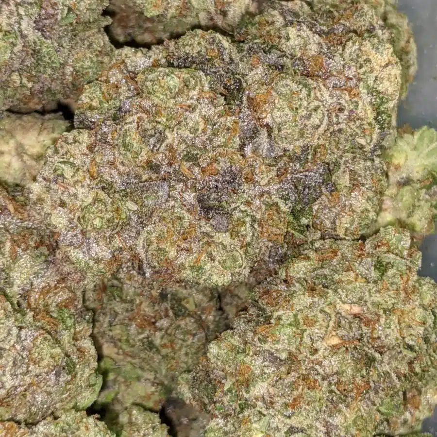 ANIMAL FACE 10 7 I $119 Oz - Ice Cream Cake