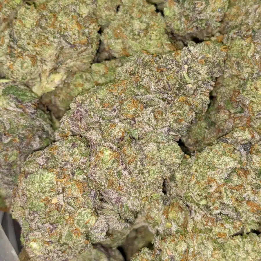ANIMAL FACE 10 8 I $119 Oz - Ice Cream Cake