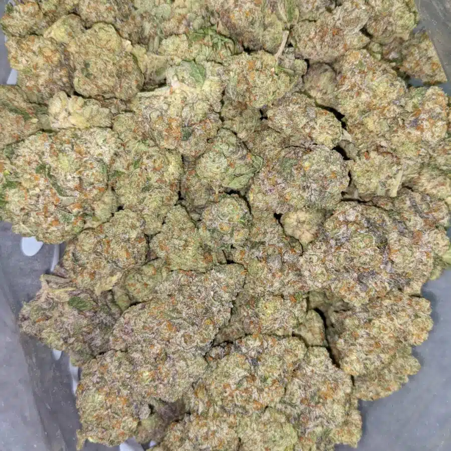 ANIMAL FACE 10 9 I $119 Oz - Ice Cream Cake