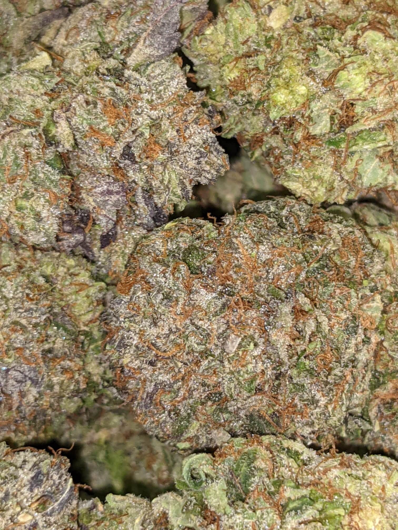 Astro Bubba - Image 4