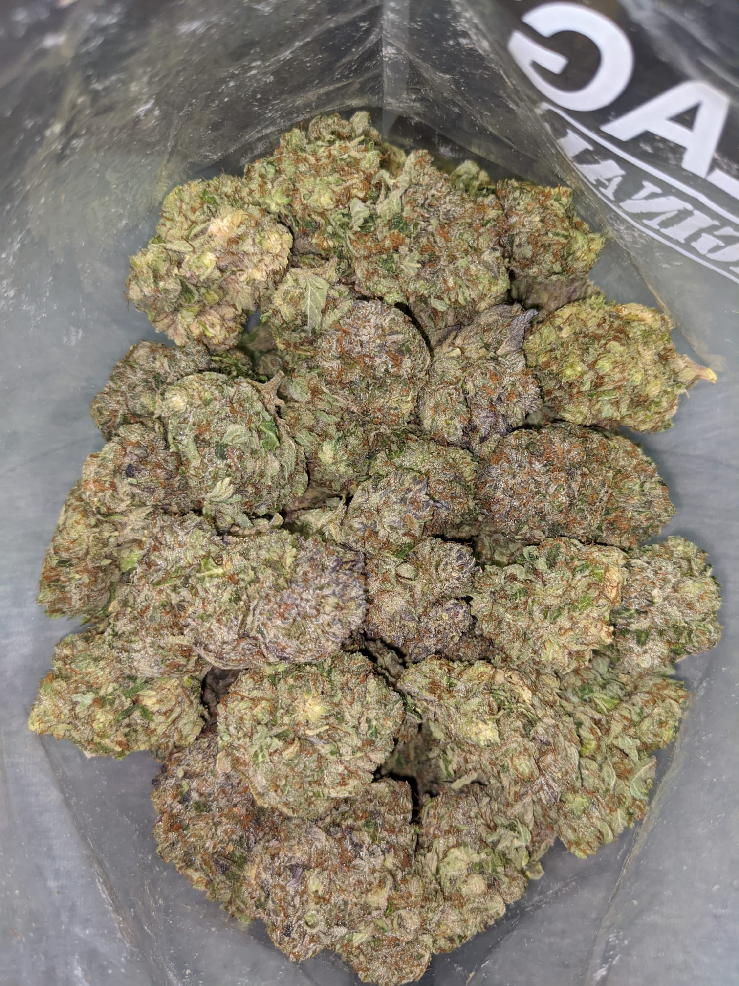 Astro Bubba - Image 5