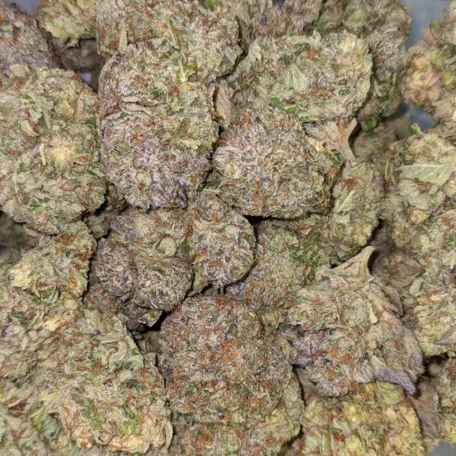 ASTRO BUBBA 3 I Astro Bubba