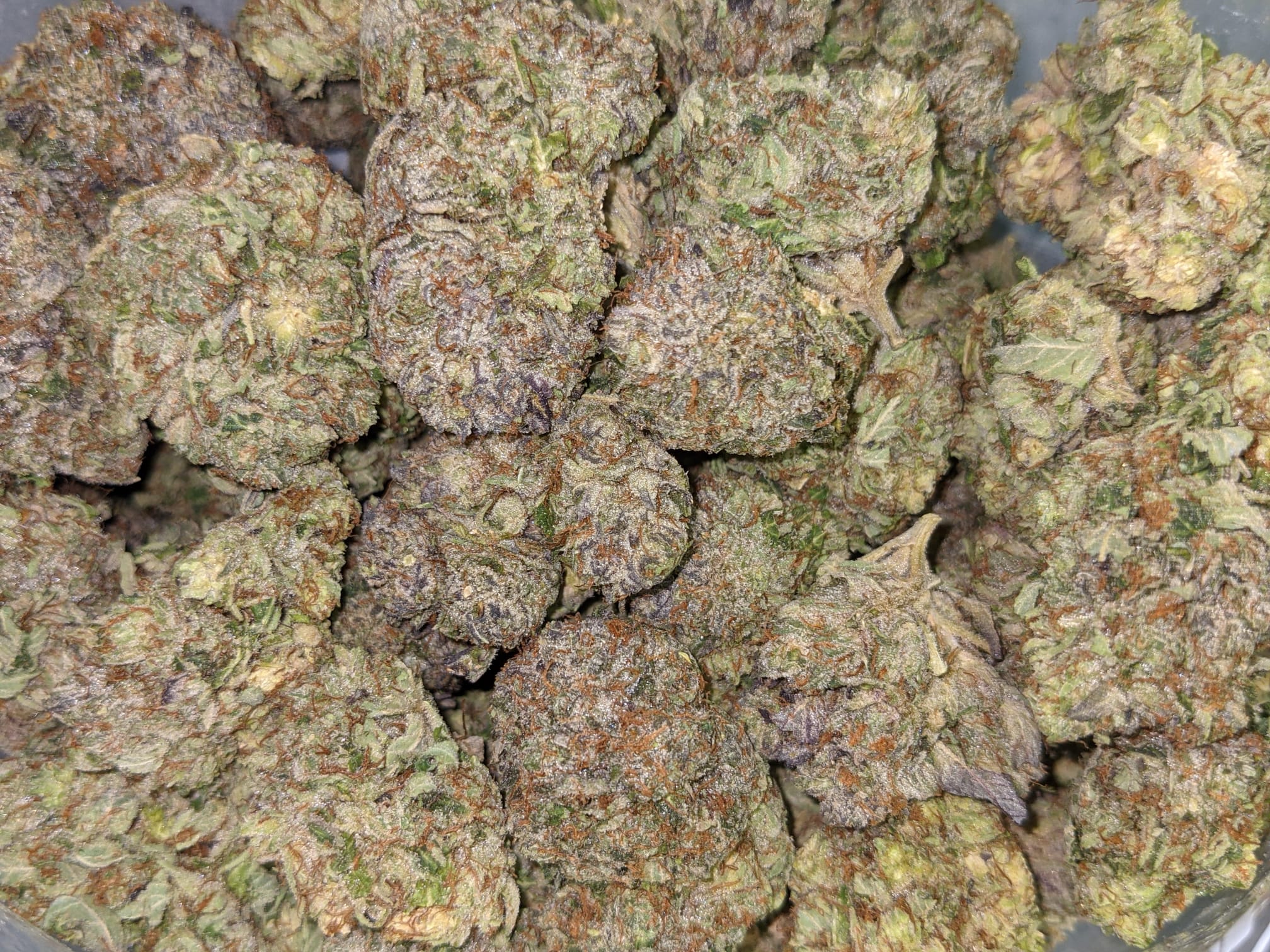 Astro Bubba - Image 6