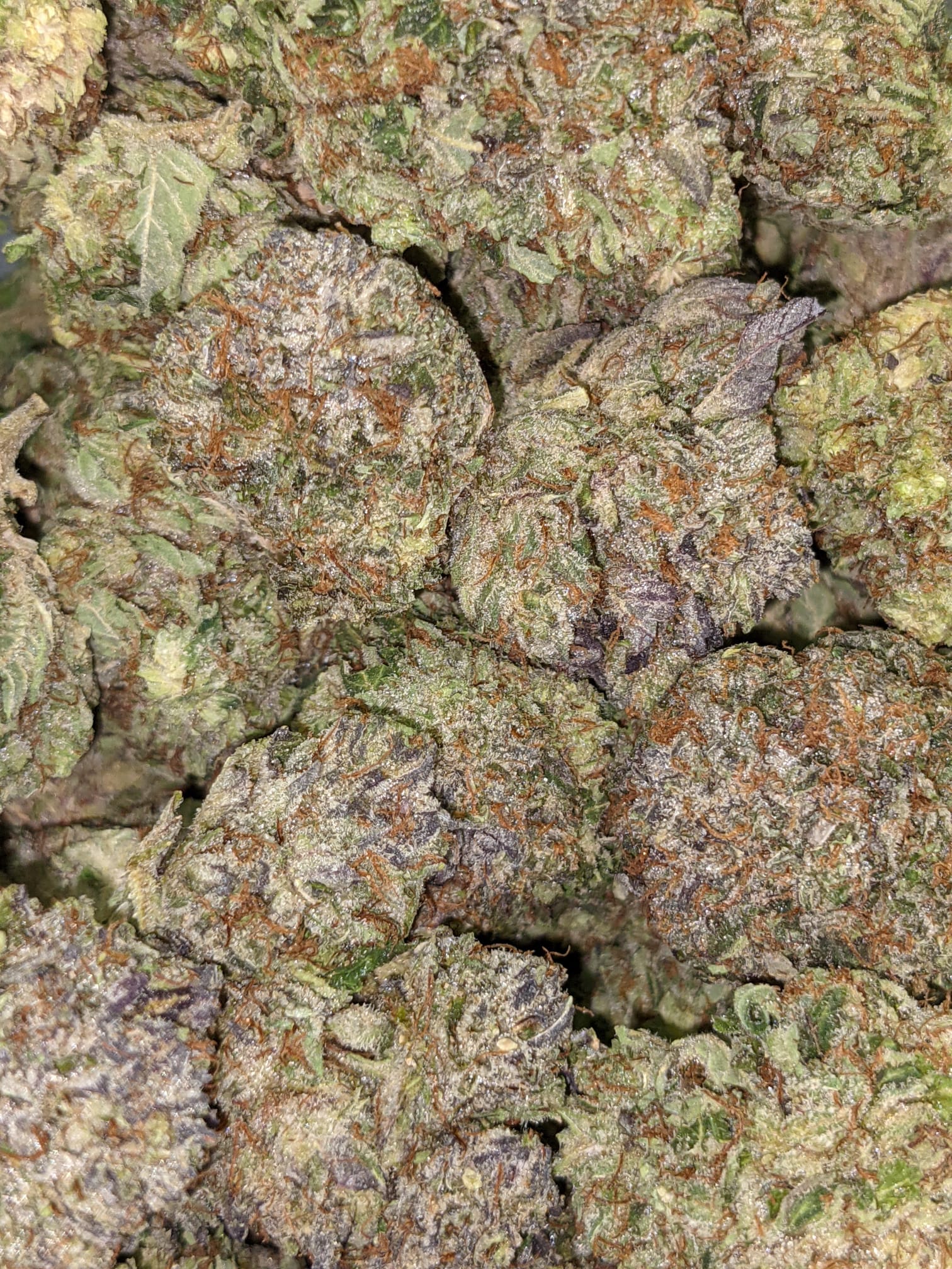 Astro Bubba - Image 7