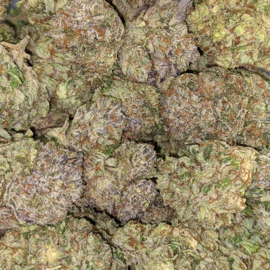 ASTRO BUBBA 5 I Astro Bubba