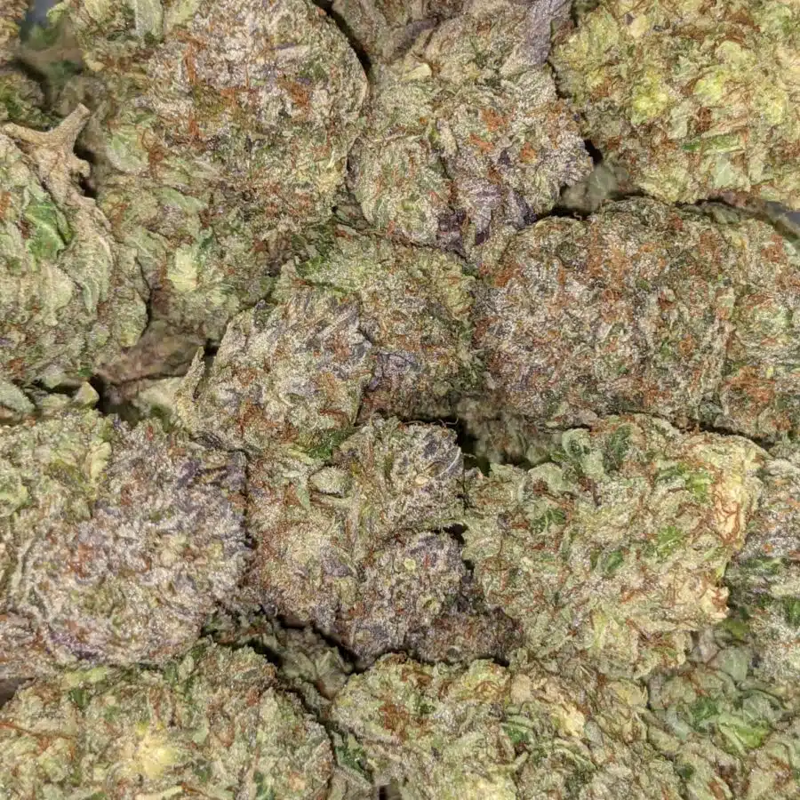 ASTRO BUBBA 5 I Astro Bubba