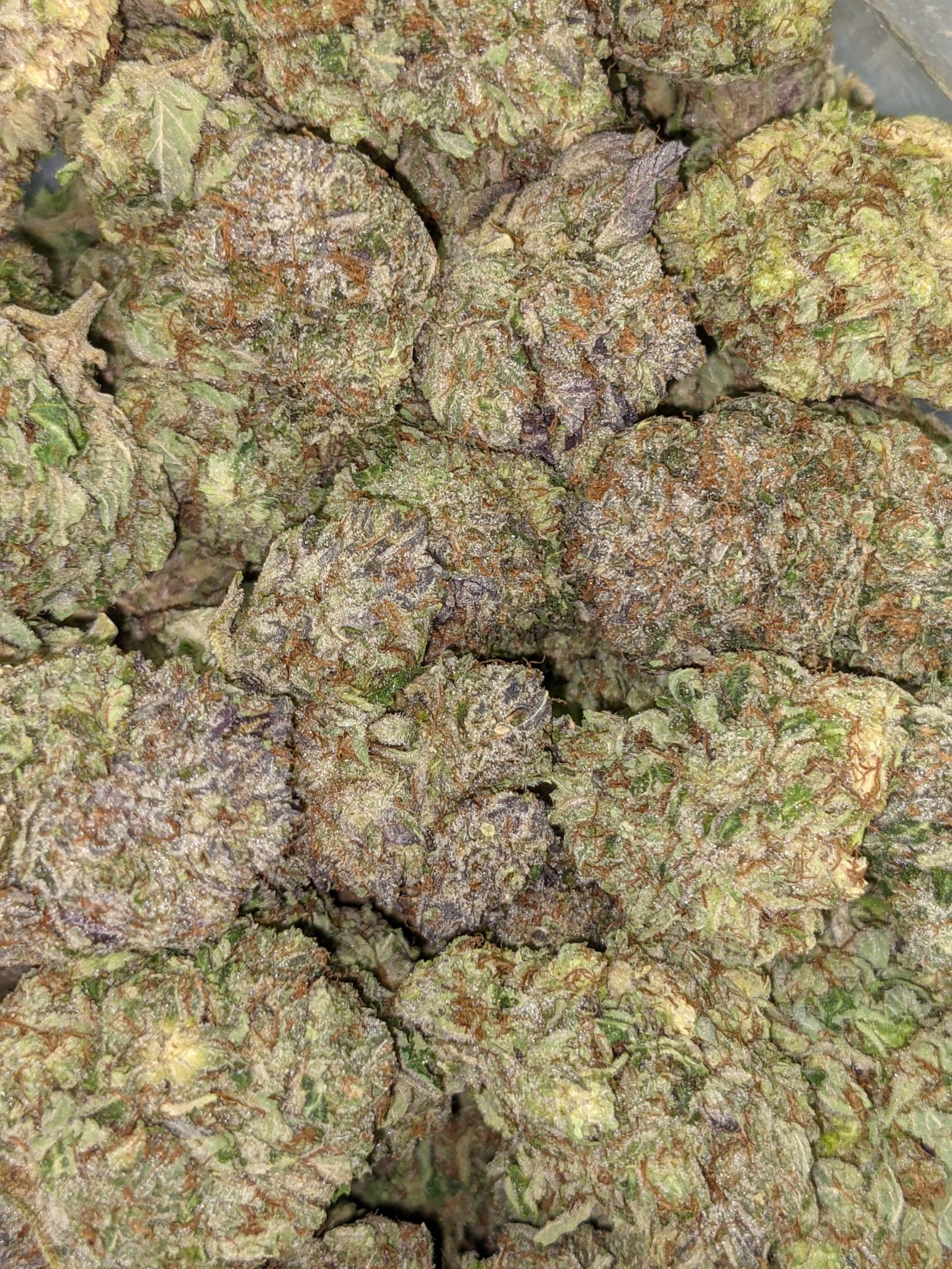 Astro Bubba - Image 8