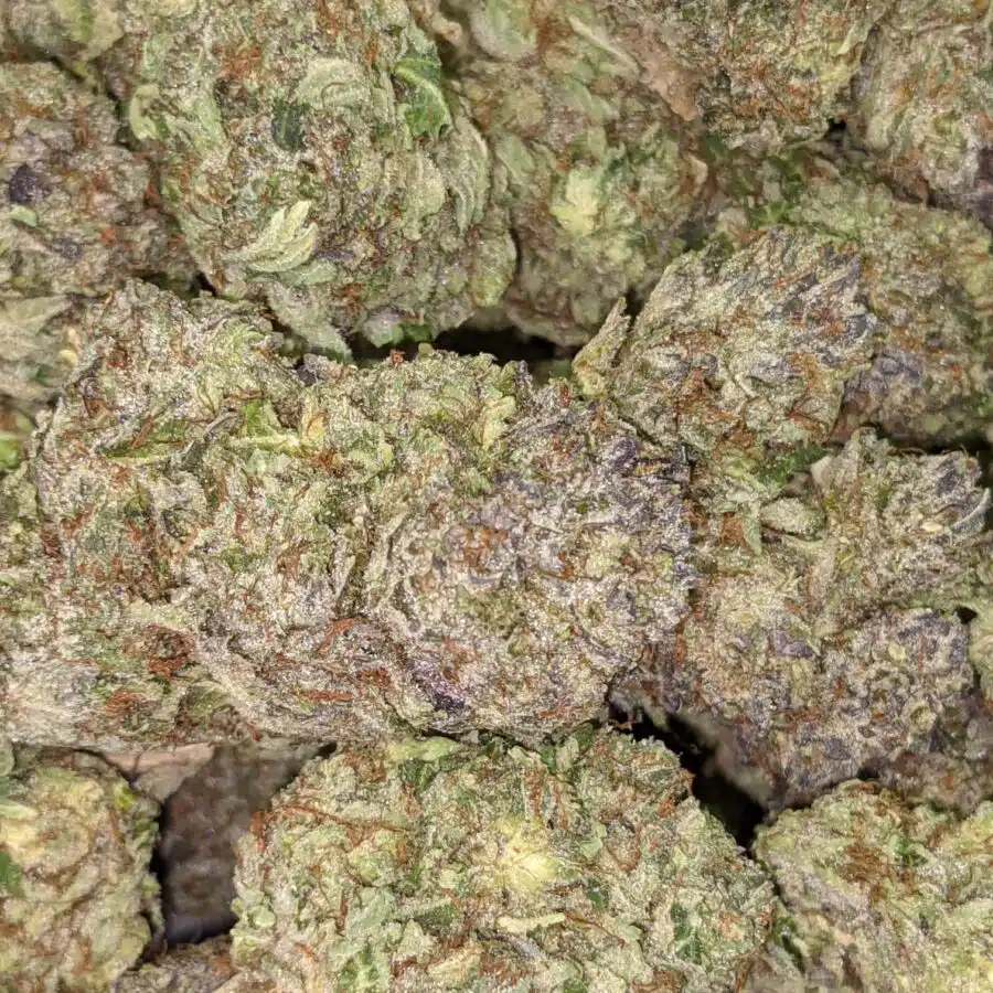 ASTRO BUBBA 6 I Astro Bubba