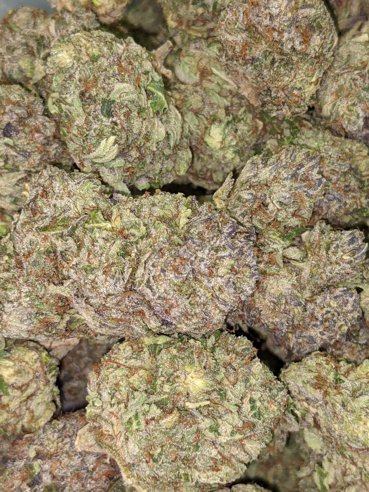 Astro Bubba - Image 9