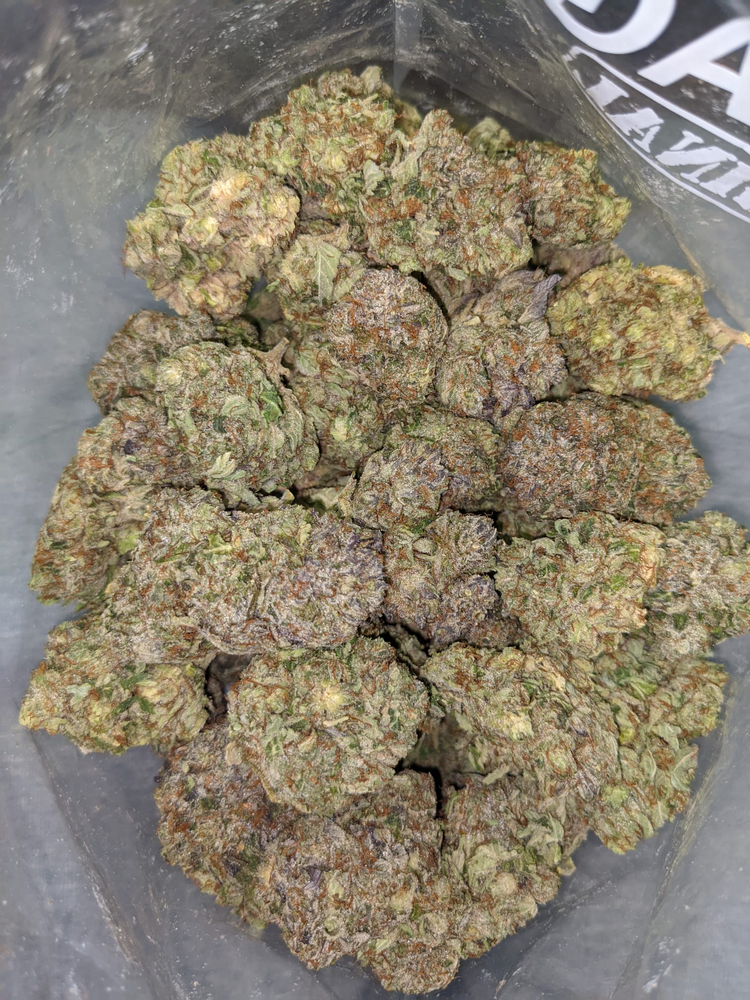Astro Bubba - Image 10