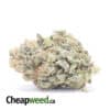 Blue Dream - *Deal of the Day*