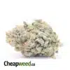 Blue Dream - *Deal of the Day*
