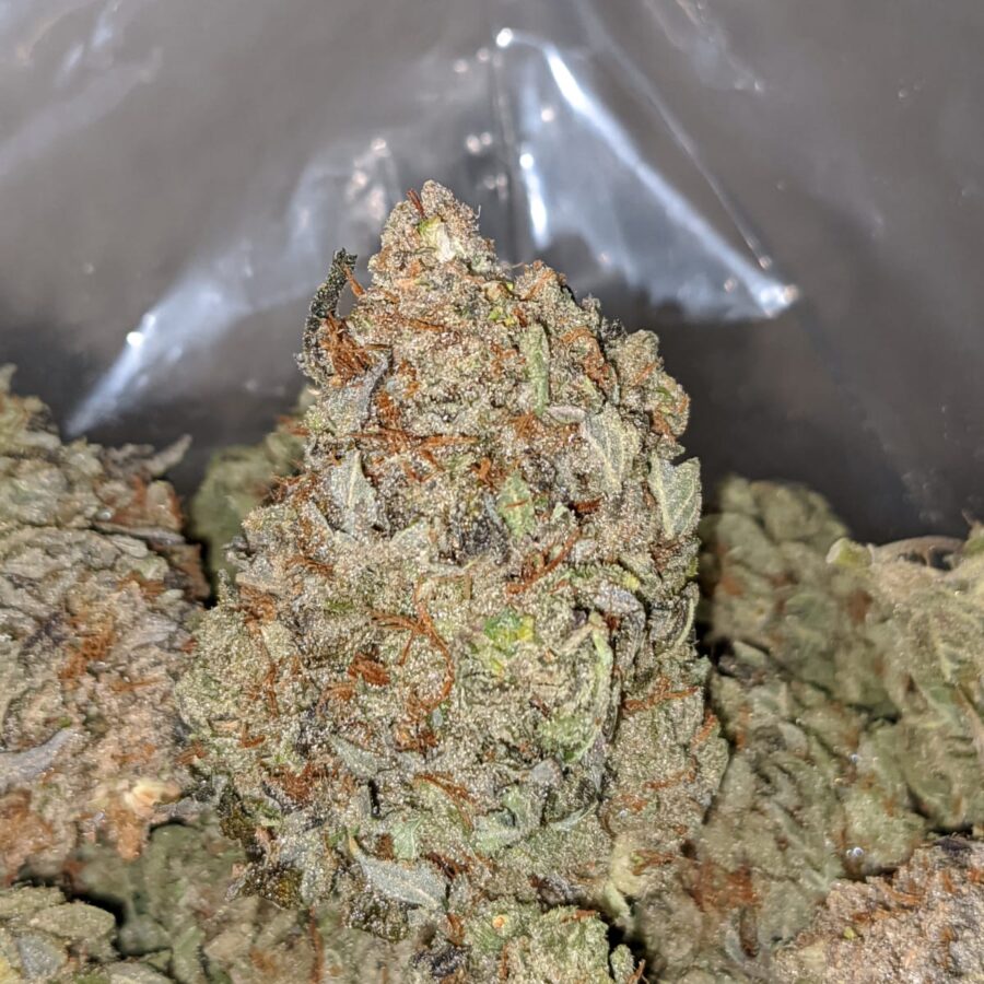 BLUE DREAM DOD 2 1 I Blue Dream - *Deal of the Day*