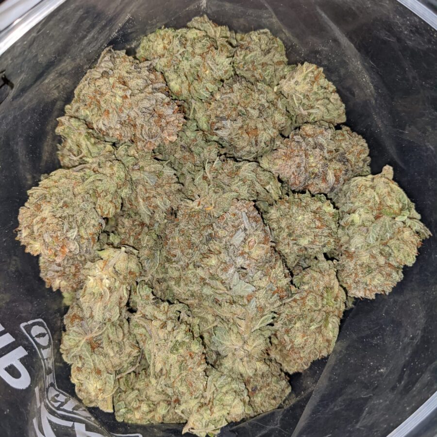 BLUE DREAM DOD 3 1 I Blue Dream - *Deal of the Day*