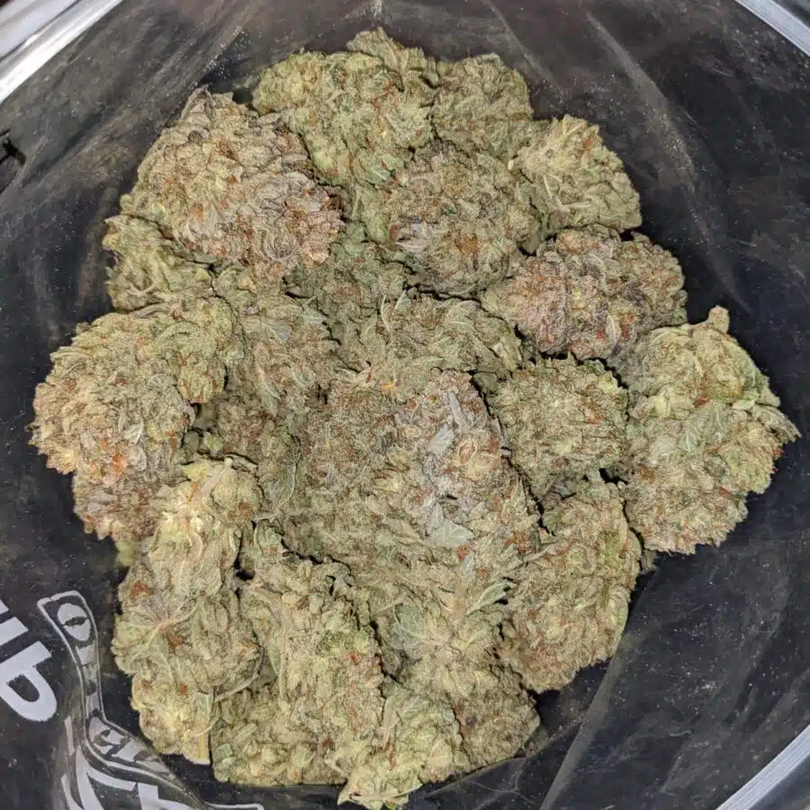 BLUE DREAM DOD 3 1 I Blue Dream - *Deal of the Day*