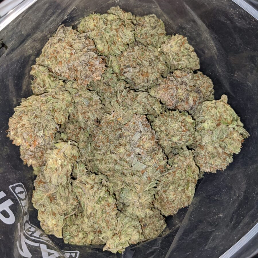 BLUE DREAM DOD 4 1 I Blue Dream - *Deal of the Day*