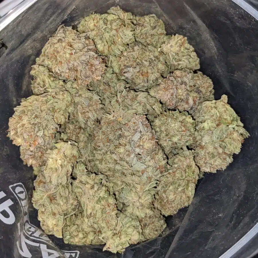 BLUE DREAM DOD 4 1 I Blue Dream - *Deal of the Day*
