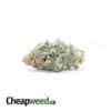 Blue Magic - *Deal of the Day*