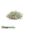 Blue Magic - *Deal of the Day*